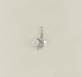 Silver Plated Dolphin with CZ pendant